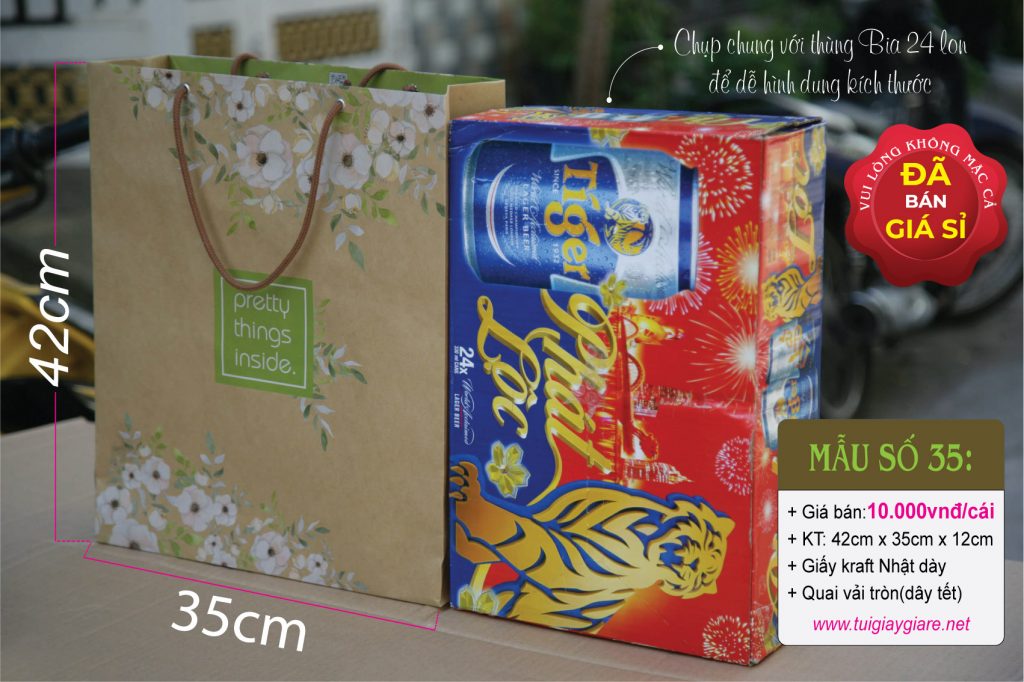 Túi giấy kraft