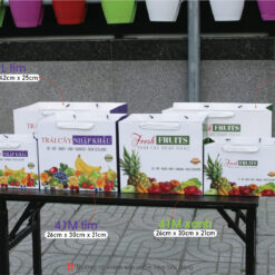 Túi giấy đựng trái cây, hoa quả nhập khẩu được sản xuất và phân phối bởi cty Vũ Thị gồm có 3 size