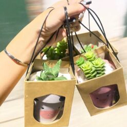 Hộp 28: Hộp cây cảnh mini