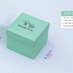 Hộp HK: Hộp bánh nắp rời