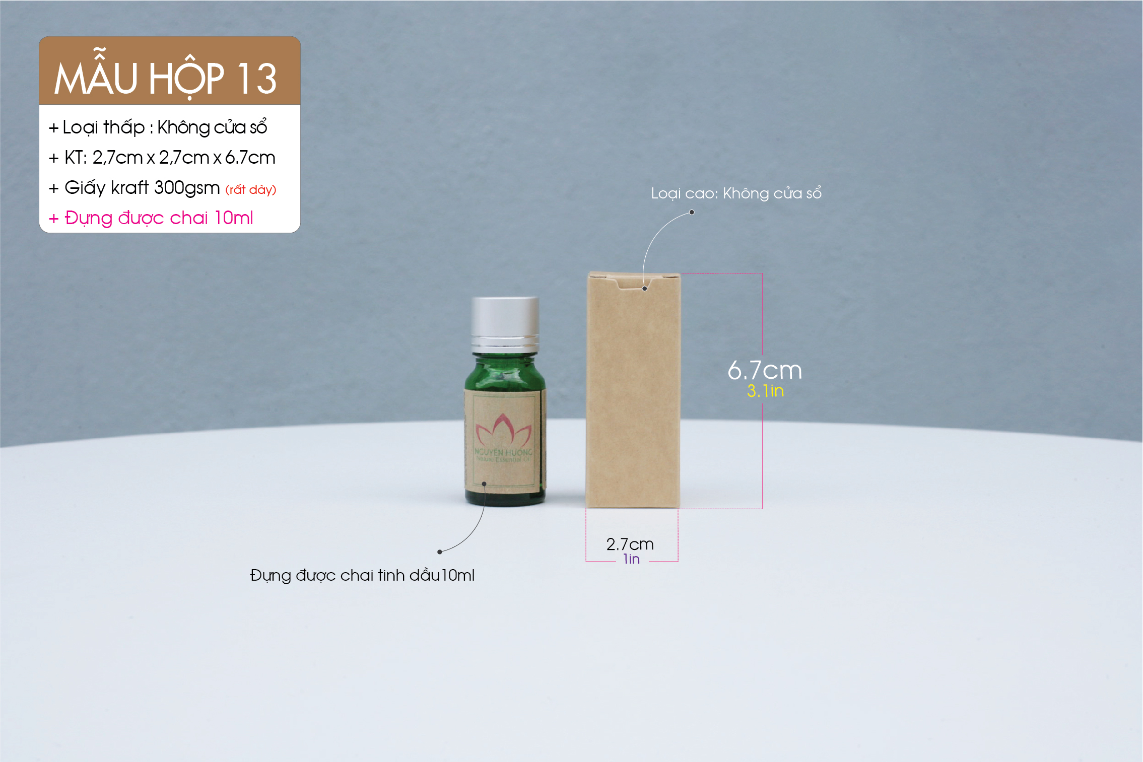 Hop-13-lun-AI-02.jpg