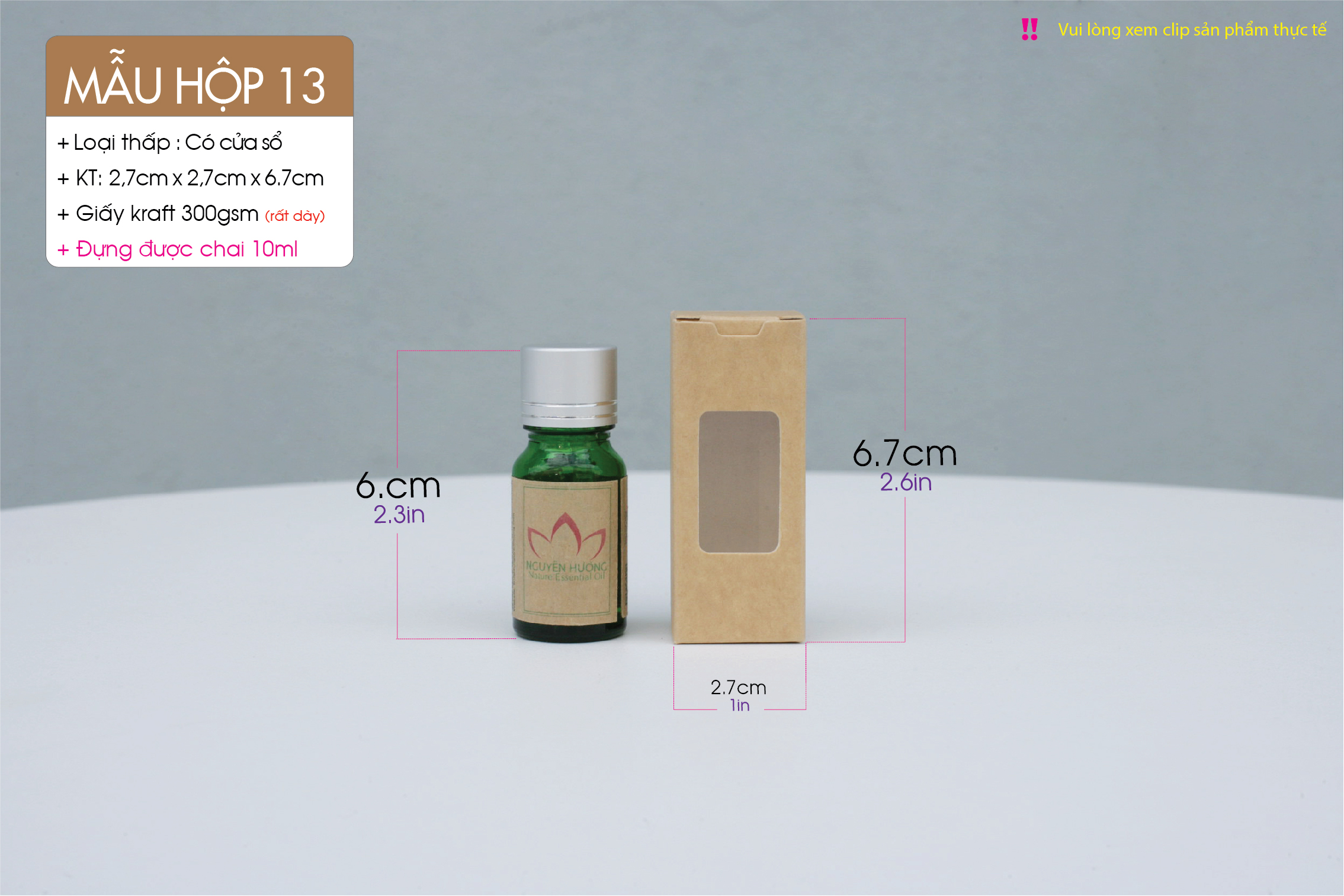 Hop-13-lun-AI-05.jpg