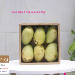 Hộp K4: Khay đựng trái cây