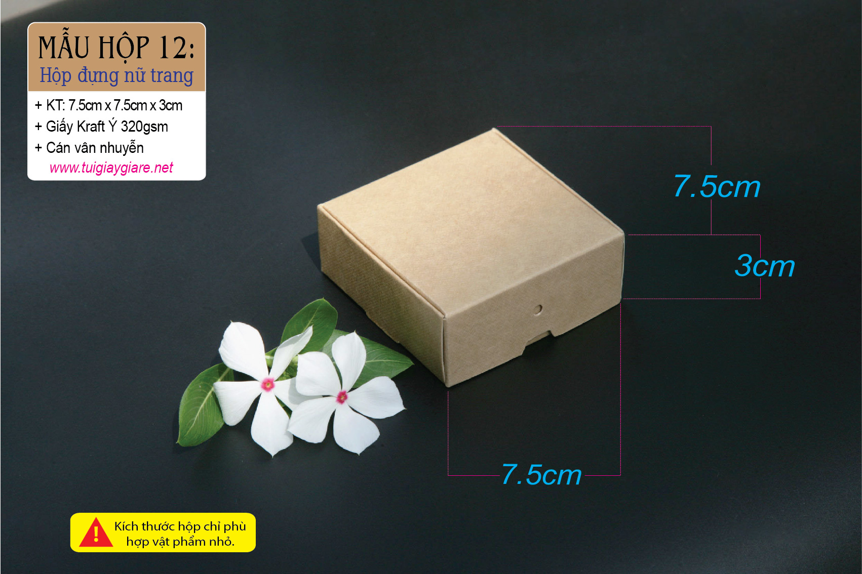 Hop-dung-nu-trang-02-1.jpg