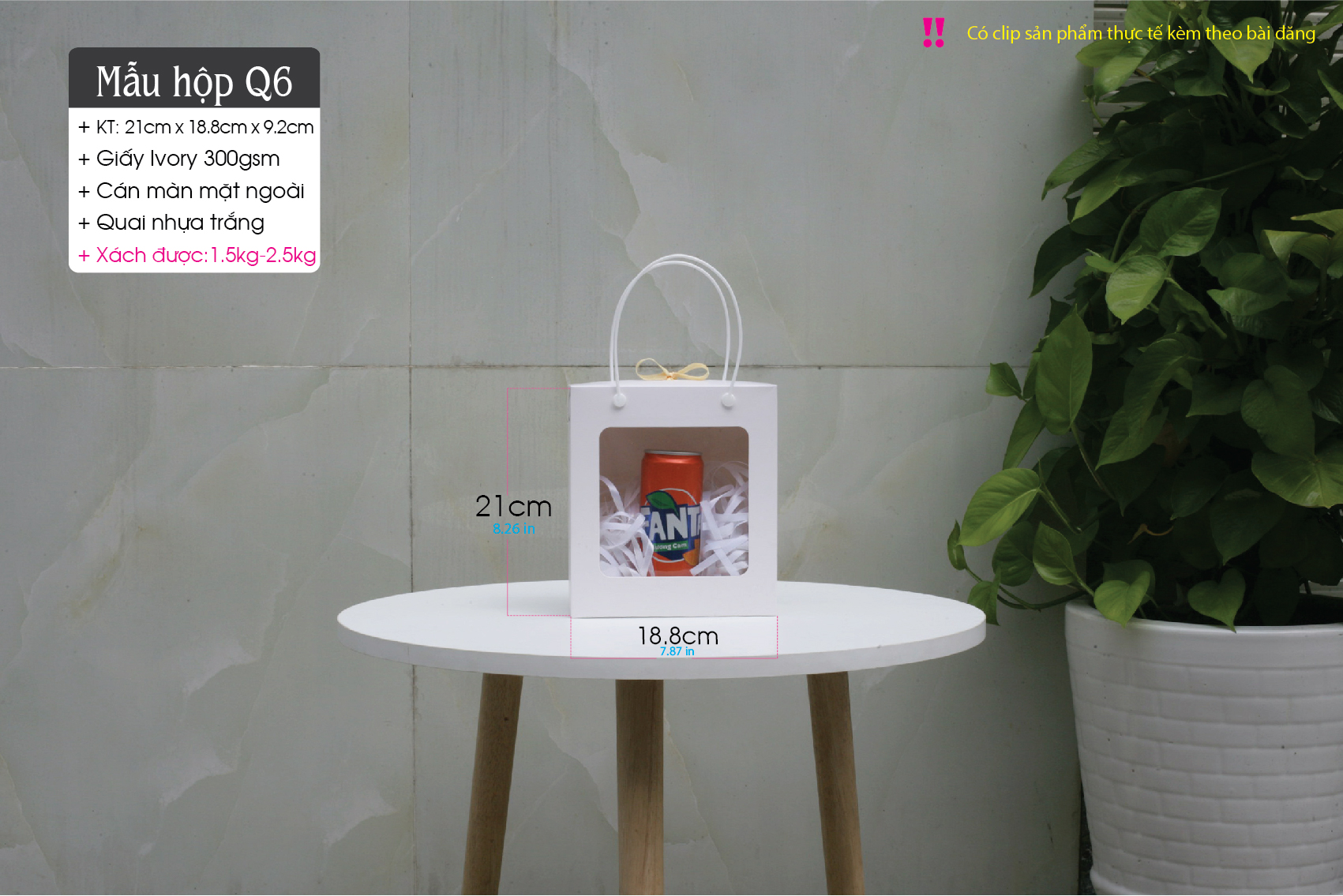 HopQ6AI-07.jpg