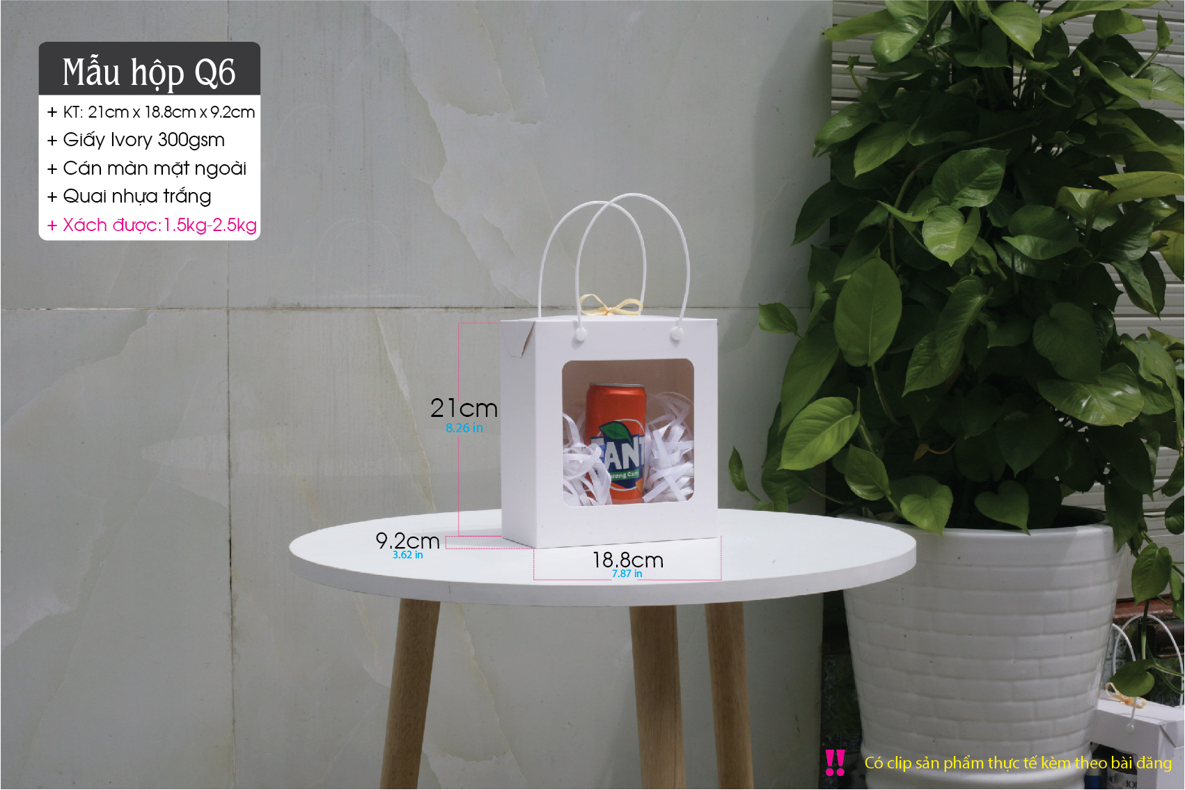 HopQ6AI-08.jpg