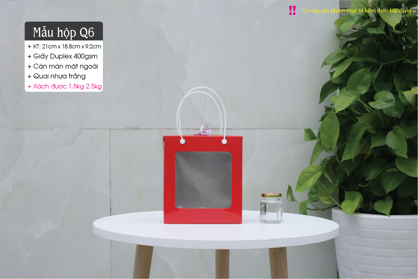 HopQ6AI-13.jpg