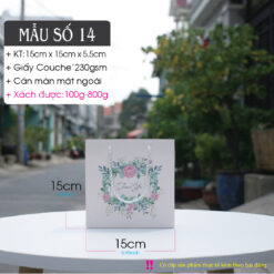 Mẫu 14: Túi giấy vuông nhỏ
