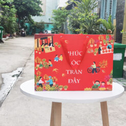 Mẫu 9: Túi giấy ngang size XL