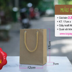 Mẫu 7: Túi giấy Kraft nhỏ