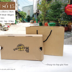 Mẫu 15: Túi giấy Kraft size L
