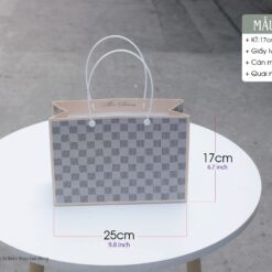Mẫu 19: Túi giấy quai Ruy băng