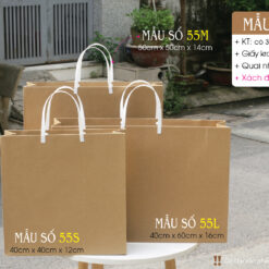 Mẫu 55: Túi giấy cỡ lớn