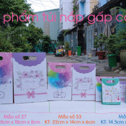 Mẫu 53: Túi nắp gập size S