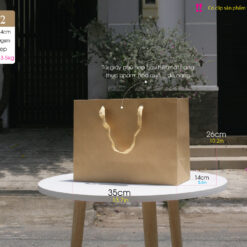 Mẫu 12: Túi Kraft size L