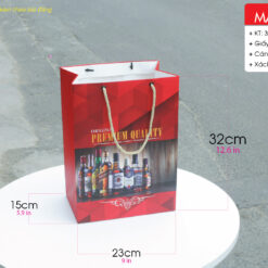 Mẫu 3:  Túi giấy đứng size L