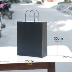 Mẫu 47: Túi giấy đen